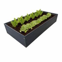 NAUJIENA! GPPS pakelta lysvė KLASIKA Woodlook - Antracito (pilka) - 150 x 75 x 20 cm