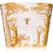 Baobab Collection Sacred Trees Bounkani kvapioji žvakė 500 g