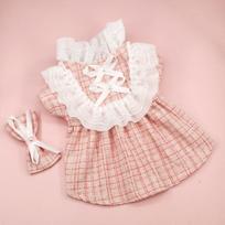 INS Pet Šuo Languota Suknelė su Plaukų Segtuku Mielas Vėrinio Rinkinys Katės Drabužiai Pavasaris Ruduo Nišinė Nėriniuota Suknelė Šuns Drabužiai Mažiems Šunims XS white