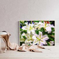 HUACAN 5D „pasidaryk pats“ Viso gręžimo deimantų tapyba gėlių kaukolės siuvinėjimas kryželiu 20*30 cm white