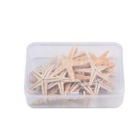 Natūrali jūrų žvaigždė Rankdarbis Jūrų žvaigždė Akvariumo dekoracija Natūrali medžiaga 50pcs（2-3cm）