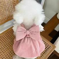 Naminių gyvūnų drabužiai Ruduo/Žiema Nauja Velūrinė Moliūgo Sijoninė Suknelė Su Sagtimi Teddy Katė Šilta Nėrinėta Sijoninė Suknelė Šuniukų Suknelės Mažiems Šunims XL rožinė