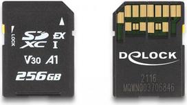 Delock - Flash-Speicherkarte - 256GB - Video Class V30 / UHS-I U3 - SD