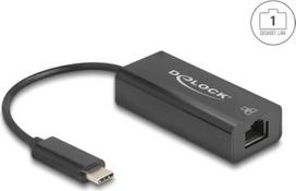 Delock USB 2.0 Type-C Adapter zu 10/100Mbps LAN (64306)