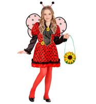 „LADYBUG“ (suknelė, sparnai, antenos)