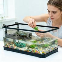 Vėžlio deginimosi platforma Poilsis su laipteliais Augintinio vėžlio akvariumo deginimosi platforma Varlėms, vėžliukams, salamandroms, krabams, vėžliams Balkonas China Mainland