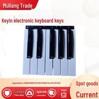 Korg pakaitiniai klavišai PA500/600/700 ir Microx/R3/X50 klaviatūroms Keys