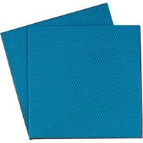 Thermal Grizzly Minus Pad Advance - 100 x 100 x 0.5 mm, 2 pieces