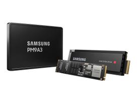 SSD Samsung PM9A3 960GB U.2 NVMe PCI 4.0 MZQL2960HCJR-00A07 (DWPD 1)