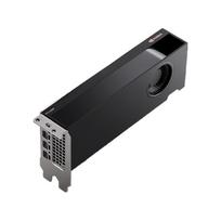 PNY NVIDIA RTX 2000 Ada Generation - Grafikkarten - NVIDIA RTX 2000 Ada - 16GB GDDR6 - PCIe 4,0 x8 - 4 x Mini DisplayPort (VCNRTX2000ADA-PL)