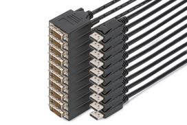 Digitus DisplayPort – DVI Adapter Cable, Pack of 10 pcs