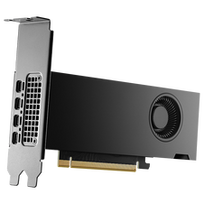 NVIDIA RTX 2000 Ada Generation - Grafikkarten - NVIDIA RTX 2000 Ada - 16GB GDDR6 - PCIe 4,0 x16 - 4 x Mini DisplayPort - retail (900-5G192-2541-000)