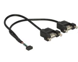 DeLOCK - USB-Kabel intern auf extern - 10-poliger USB-Header (W) bis USB (W) - 25cm (USB/USB2.0) - Schwarz (84832)