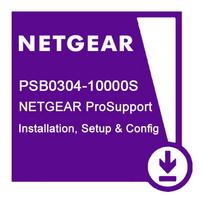 NETGEAR PROFESSIONAL INSTALLATION SETUP + CONFIGURATION - REMOTE ACCESS SERVICE FOR READYNAS/READYDA