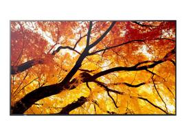 Display MultiSync M322 32-inch 24/7