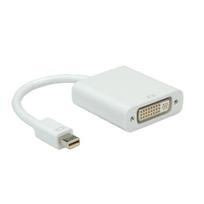ROLINE Mini DisplayPort-DVI Adapter, Mini DP ST - DVI BU (12.03.3128)
