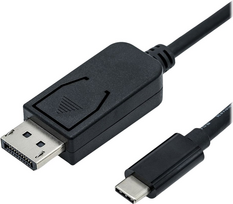 ROLINE - Adapterkabel - 24 pin USB-C (M) zu DisplayPort (M) - USB 3.1 / DisplayPort 1.2 - 2 m - bi-direktional, unterstützt 4K 60 Hz (3840 x 2160) - Schwarz (11.04.5958)