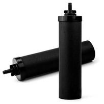 2 vnt vandens valymo filtro elementas Black Berkey