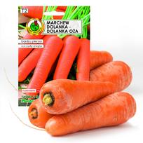 PNOS Seeds on tape | Edible Carrot Dolanka | 6m tape