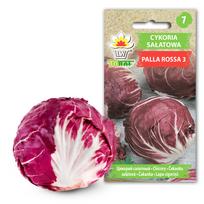 TORAF Lettuce Chicory Palla Rossa 3 Vegetable Seeds, 5g Package