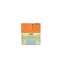 Pictor Parfum Airbrush PP kvepalai unisex, 100 ml