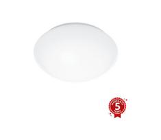 Steinel 056063 - Lauko LED lemputė su jutikliu RS PRO LED / 9,5W / 230V IP54