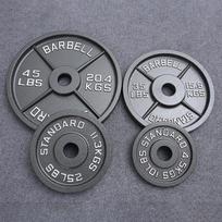 20 kg ketaus štangos diskas 20kg (1 vnt.) spalva