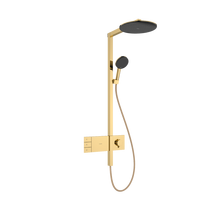 Dušo komplektas Hansgrohe Raindance Alive S 300 2jet 24595990