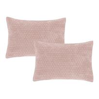 Dekoratyvinės pagalvėlės 2 vnt. 50x75 cm Attica Velvet Embroidered – Bianca