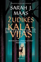Žudikės kalavijas. Serijos „Stiklo sostas“ priešistorė - Sarah J. Maas