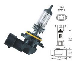 12V 55W P22D HB4 VISION PRO