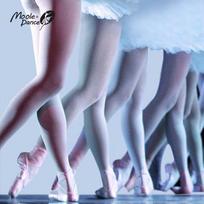 Little Jasmine Adult Ballet & Dance Practice Tights Small (155-165cm)