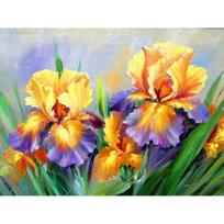 5D „pasidaryk pats“ deimantinė tapyba Irisas Siuvinėjimas Mozaika Kryželiu Cirkonio Dekoracija 20X30CM