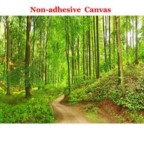 Atsparūs vandeniui sienų lipdukai su gamtos vaizdais, miškais ir takais; 3D fototapetas, tinkantis svetainės ir miegamojo dekoravimui. 300cm (W) x 200cm (H)