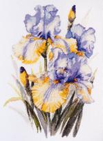 Siuvinėjimo kryželiu rinkinys „Vilkdalgiai“ 21x30 cm AAH-142