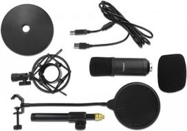 Delock Professional USB Condenser Microphone Set for Podcasting and Gaming - Mikrofon - USB - Schwarz (66300)