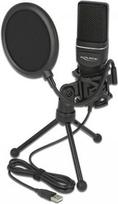 Delock USB Condenser Microphone Set for Podcasting, Gaming and Vocals - Mikrofon - USB - Schwarz (66331)