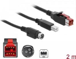 DeLOCK - Powered USB-Kabel - USB PlusPower (24 V) (M) bis USB Typ B, Strom mini-DIN (M) - 24 V - 2 m - Schwarz
