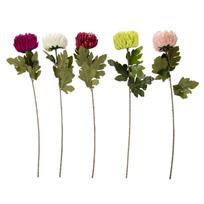 Dirbtinė gėlė FLOWERLY H74cm, chrizantema
