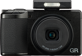 Ricoh Flash GF-2 WW