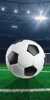 Jerry Fabrics futbolo aikštės paplūdimio rankšluostis, 70x140 cm – 100 % medvilnė