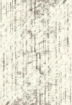 Kilimas Myra 11795 C10, 160 x 230 cm, 100% polipropilenas, 11795160230