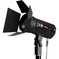 SMALLRIG 4280 LED VIDEO LIGHT COB RC 30B
