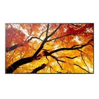 Sharp  MultiSync M552 Large-Format Monitor - 55 inches 550 cd/m2, 24/7 Operation | PNM552  | 4550556130974