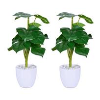 dirbtinis augalas Monstera rinkinys iš 2 vnt
