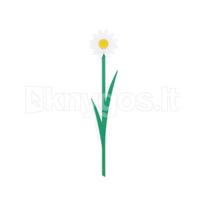 Knygos skirtukas „Daisy“, baltas