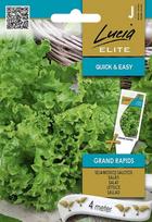 Daržovių sėklos, LUCIA ELITE ELN salotos sėjamosios GRAND RAPIDS, 4 m, J