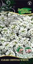 Gėlių sėklos, lobuliarija pajūrinė Clear crystal white, 20 sėklų, 1139, E