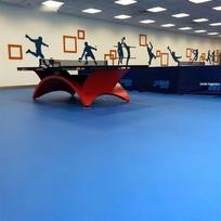 Dongbiao Vidaus PVC Sportinė Grindų Danga