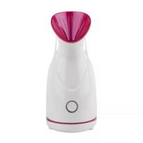 Garinis prietaisas-pirtis veidui Nano Mist Spray